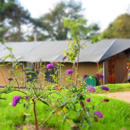 Durrell Wildlife Camp Hotel Trinity Exterior photo
